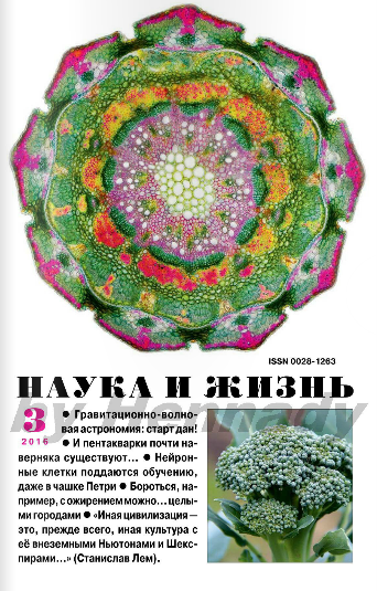 Наука и жизнь №3 Март/2016 Наука и жизнь №3 Март/2016