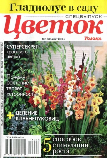 Цветок. Спецвыпуск №1 (март 2016). Гладиолус в саду