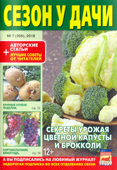Сезон у дачи 7 апрель 2016