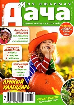 Моя любимая дача / 11 / ноябрь / 2016