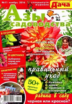 Моя любимая дача / 11 спецвыпуск / ноябрь / 2016