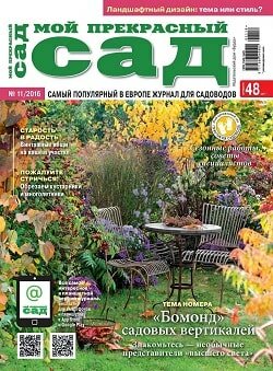 Мой прекрасный сад / 11 / ноябрь / 2016