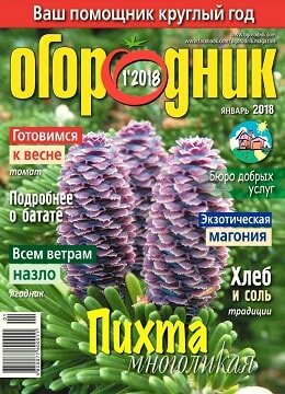 Огородник №1, январь 2018