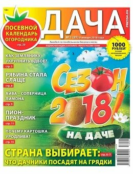 Дача №1, январь 2018