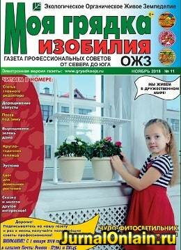Моя грядка изобилия №11, ноябрь 2018