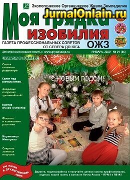 Моя грядка изобилия №1, январь 2020