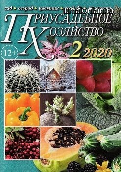 Приусадебное хозяйство №2, февраль 2020