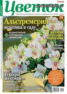 Цветок №4, февраль 2020