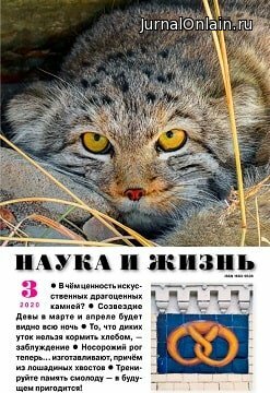 Наука и жизнь №3, март 2020