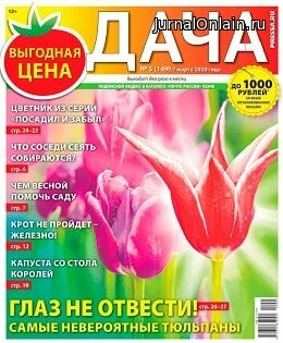 Дача №5, март 2020