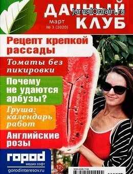 Дачный клуб №3, март 2020