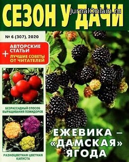 Сезон у дачи №6, март 2020