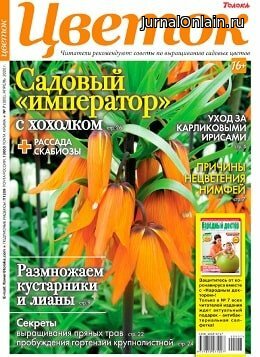 Цветок №7, апрель 2020
