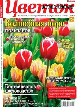 Цветок №8, апрель 2020