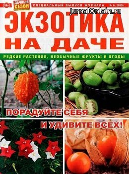 Дачный сезон. Спецвыпуск №6, июнь 2019