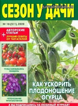 Сезон у дачи №10, май 2020