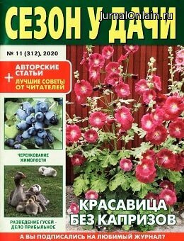 Сезон у дачи №11, июнь 2020