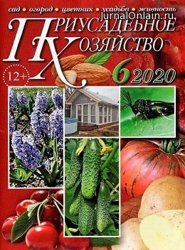 Приусадебное хозяйство №6, июнь 2020